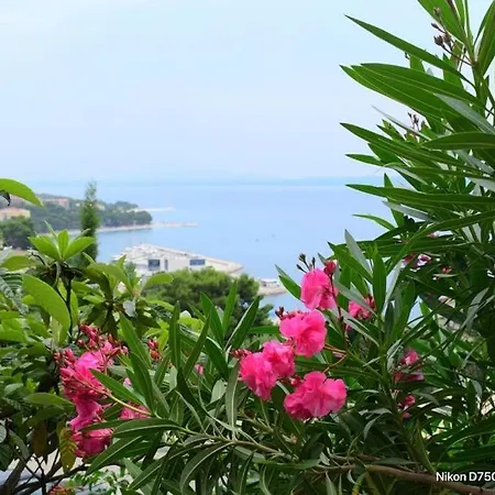 Apartment Draga & Lola Baska Voda